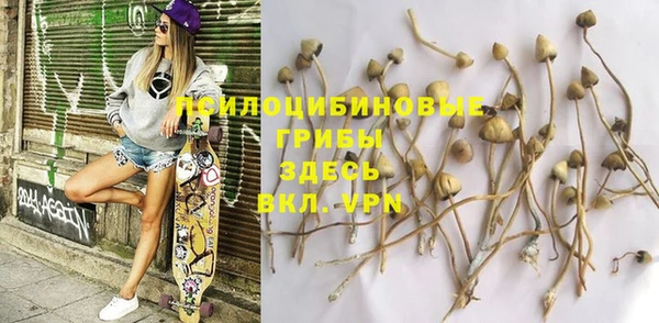 твердый Армянск