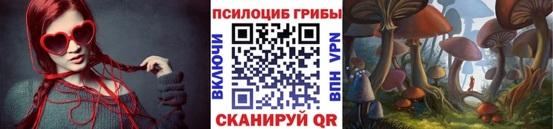 Галлюциногенные грибы MAGIC MUSHROOMS  Купить где  Сураж 