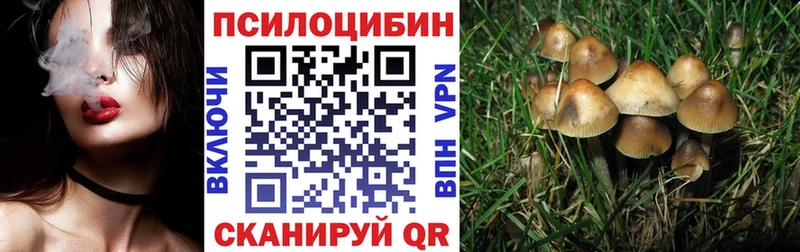 Галлюциногенные грибы GOLDEN TEACHER Сураж