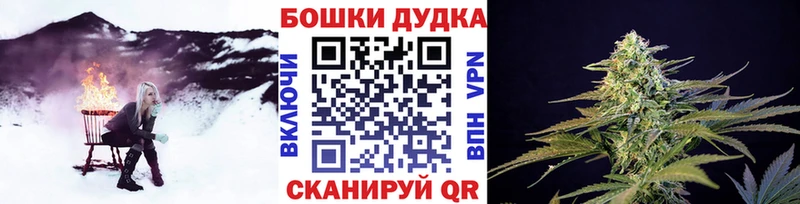 Купить  Сураж  Бошки марихуана планчик 
